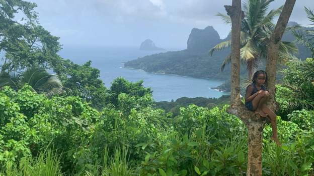 S&atilde;o Tom&eacute; and Princip&eacute;: How waves are washing away an island nation&rsquo;s trees